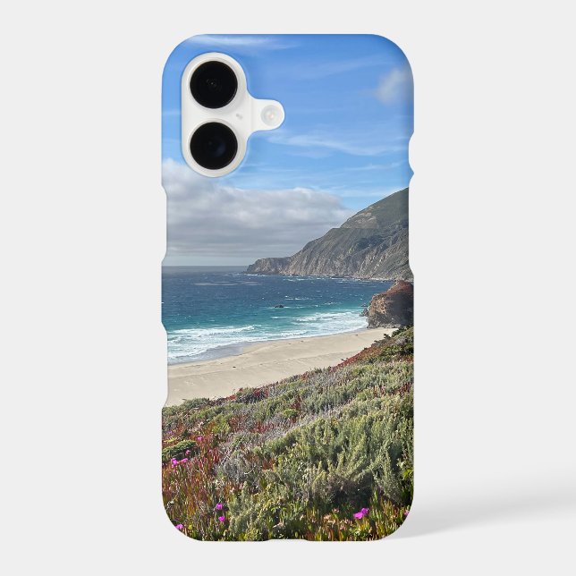 Pacific Coast (Back)