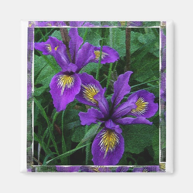 Pacific coast (Douglas) iris - Magnet (Front)