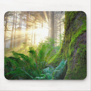 Pacific Coast Forest, Oregon Mouse Pad