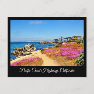 PACIFIC COAST HIGHWAY CALIFORNIA POSTCARD