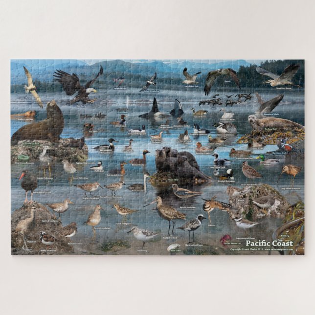 Pacific Coast Puzzle (Horizontal)