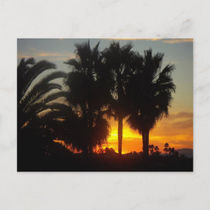Pacific Coast Sunset Postcard