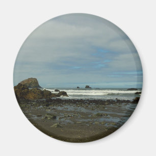 Pacific Coastline at Redwood National Park Magnet