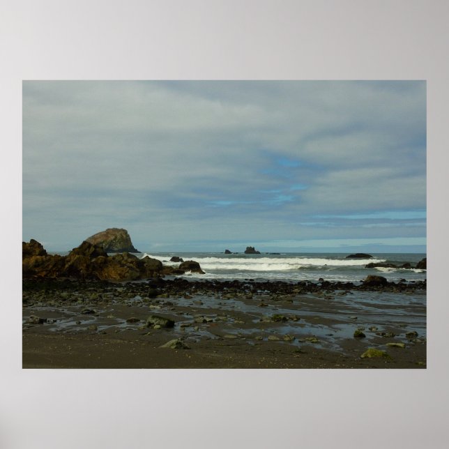 Pacific Coastline at Redwood National Park Poster (Front)