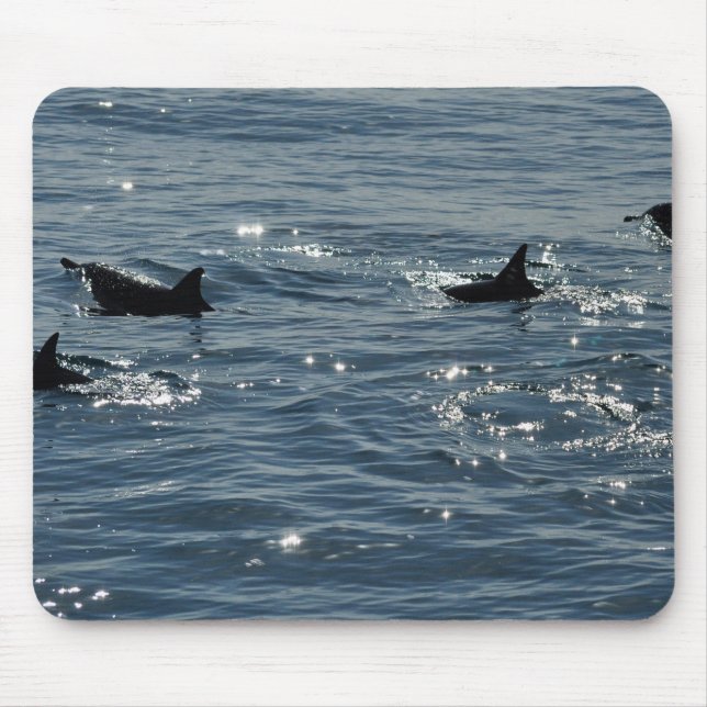 Pacific Common Dolphin Mousepad (Front)