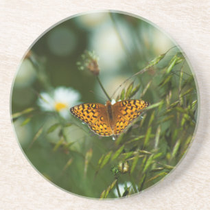 Pacific Fritillary Butterfly Coaster