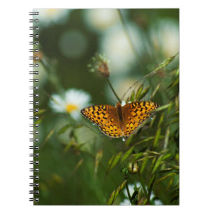 Pacific Fritillary Butterfly Notebook