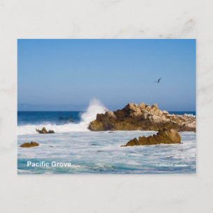 Pacific Grove California Products Postcard