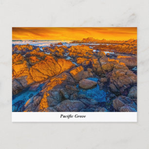 Pacific Grove Postcard