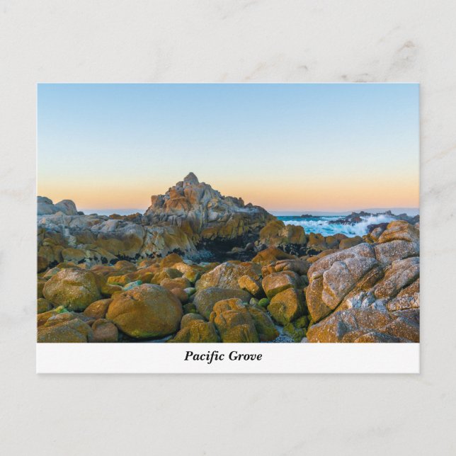 Pacific Grove Postcard (Front)