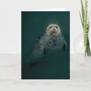 Pacific Harbour Seal Thank You Card