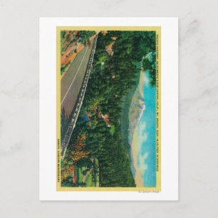 Pacific Highway with Mt. Shasta in Distance Postcard