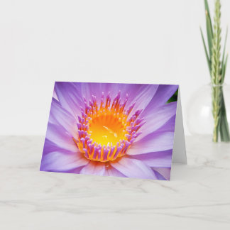 Pacific island waterlily card