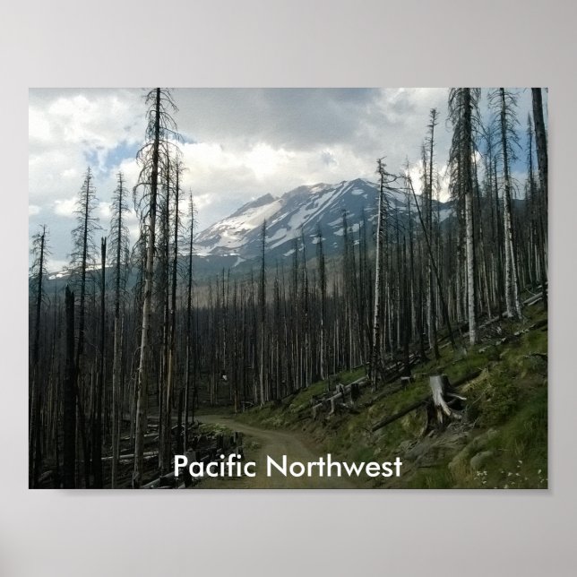 Pacific Northwest Back Road Beauty Poster (Front)