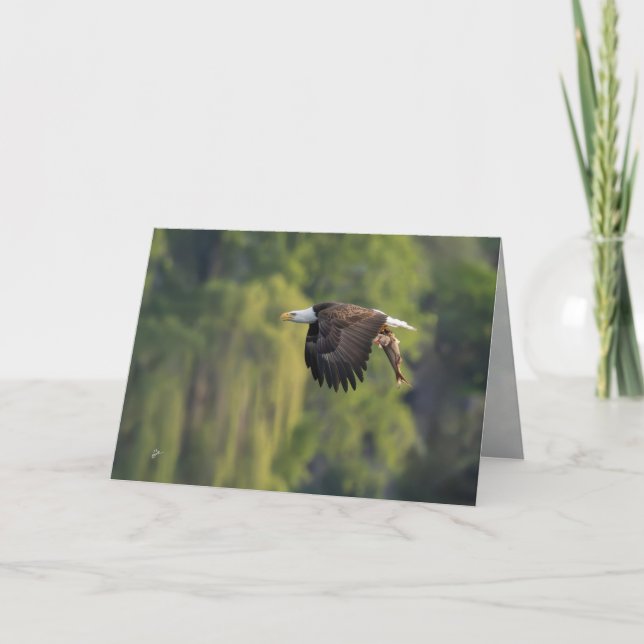 Pacific Northwest Bald Eagle with Salmon Blank Holiday Card (Front)