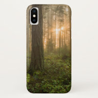 Pacific Northwest Forest | Foggy Morning