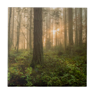 Pacific Northwest Forest Foggy Morning Ceramic Tile