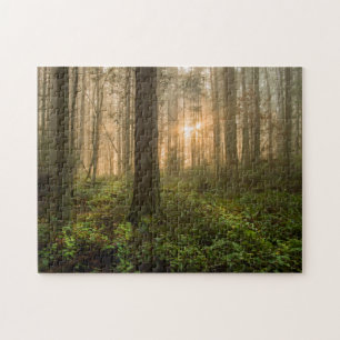 Pacific Northwest Forest Foggy Morning Jigsaw Puzzle