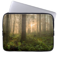 Pacific Northwest Forest | Foggy Morning