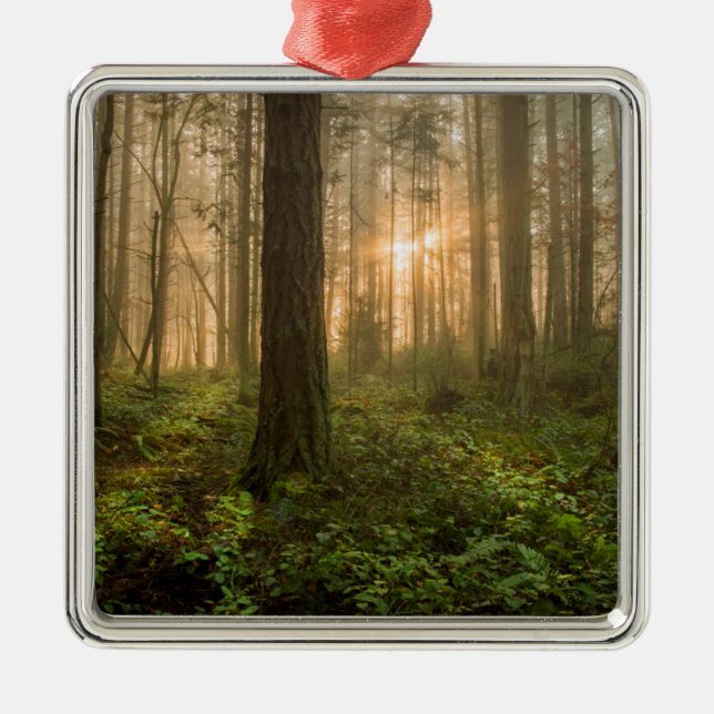 Pacific Northwest Forest | Foggy Morning Metal Ornament (Front)