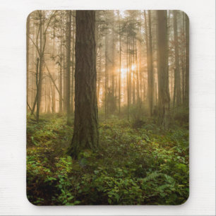 Pacific Northwest Forest   Foggy Morning Mouse Pad
