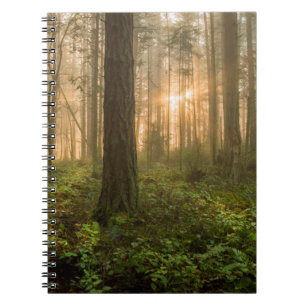 Pacific Northwest Forest Foggy Morning Notebook