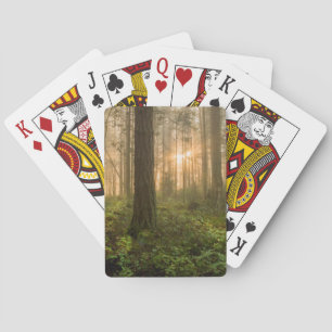 Pacific Northwest Forest Foggy Morning Playing Cards