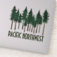 PACIFIC NORTHWEST Tall Pine Trees Forest