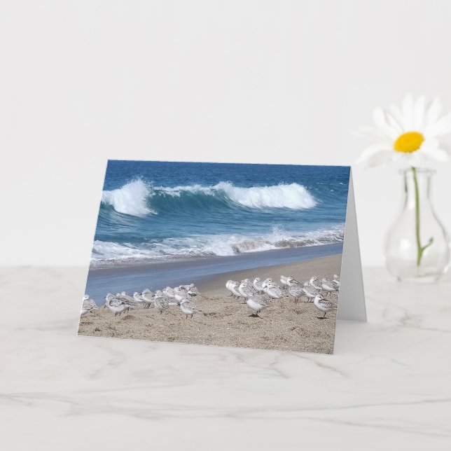 Pacific Ocean and Sanderlings Card (Small Plant)
