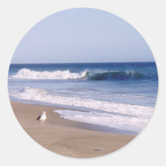 Pacific Ocean Gull Classic Round Sticker