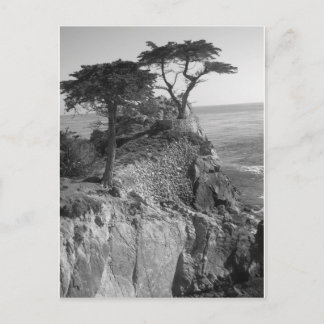 Pacific Ocean Postcard