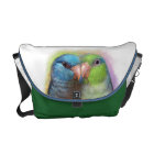 Pacific parrotlet parrot realistic painting