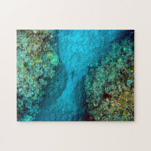 PACIFIC REEF SHARK 11x14 INCH Jigsaw Puzzle