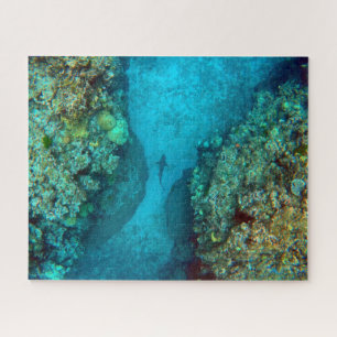 PACIFIC REEF SHARK 16x20 INCH Jigsaw Puzzle