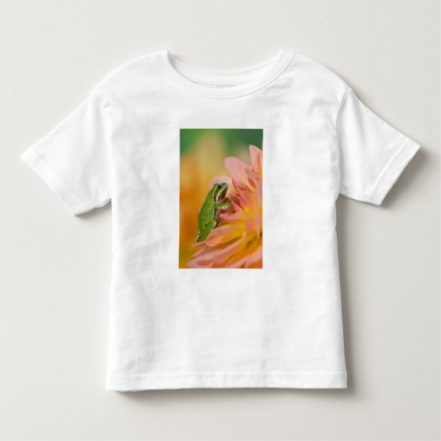 Pacific tree frog on flowers in our garden, 2 toddler T-Shirt (Front)