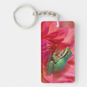Pacific tree frog on flowers in our garden key ring