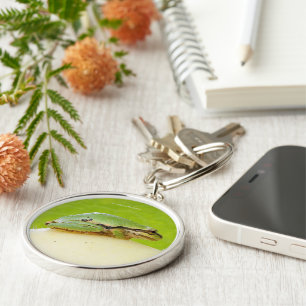 Pacific Tree Frog on Squash Key Ring
