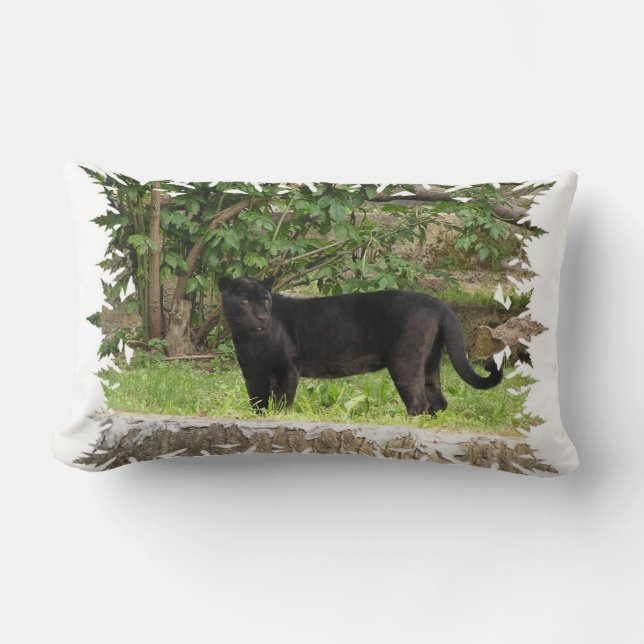 Pacing Panther Pillow (Front)