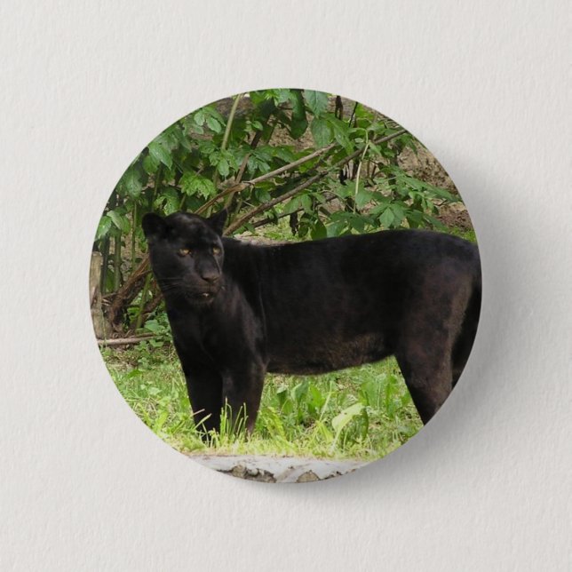 Pacing Panther Pin (Front)