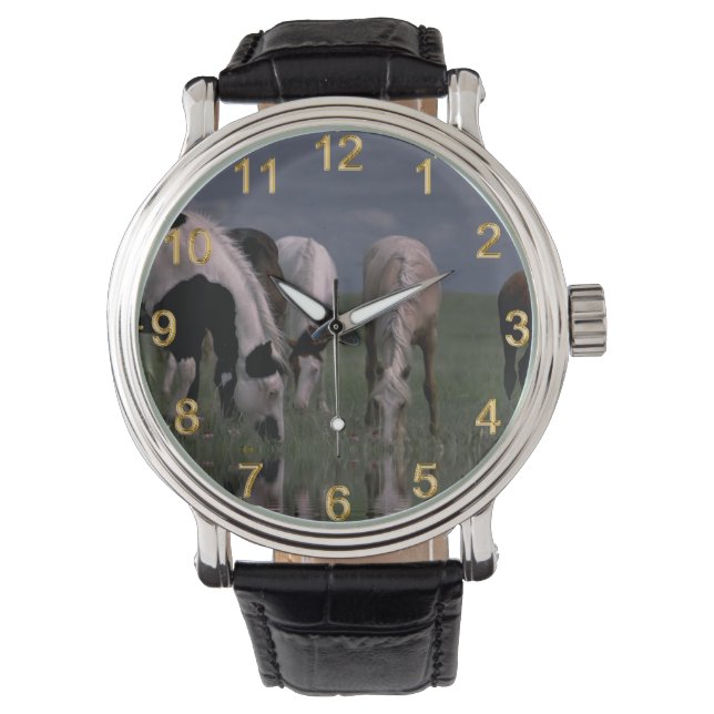 Pack Of Piebald Horses Drinking,  Watch (Front)
