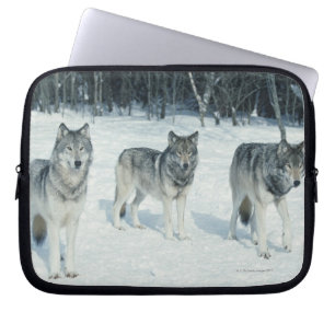 Pack of wolves at edge of snowy forest laptop sleeve