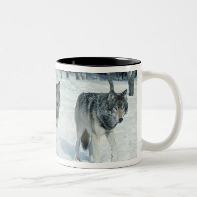 Pack of wolves at edge of snowy forest Two-Tone coffee mug (Right)