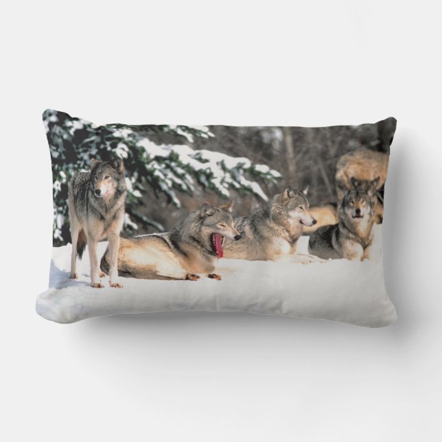Pack of  Wolves In Snow Lumbar  Pillow (Front)