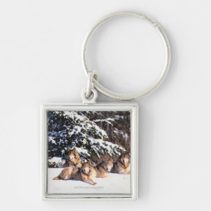 Pack of wolves in winter key ring