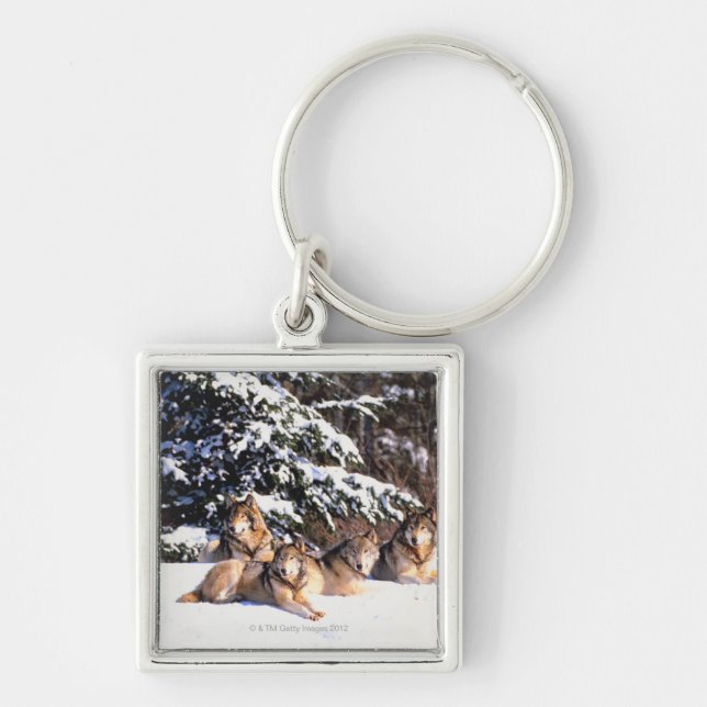 Pack of wolves in winter key ring (Front)