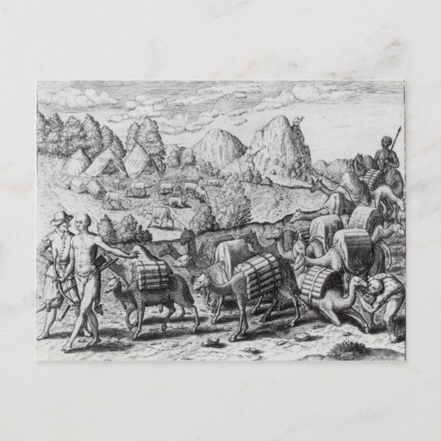 Pack Train of Llamas Laden with Silver Postcard (Front)