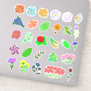 Package Of Pretty Flowers