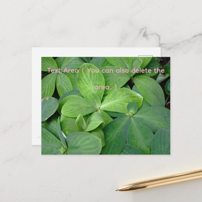 Packed with greenery postcard (Front/Back In Situ)