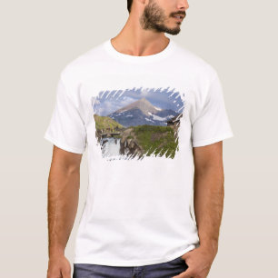 Packers lead string of horses over bridge above T-Shirt