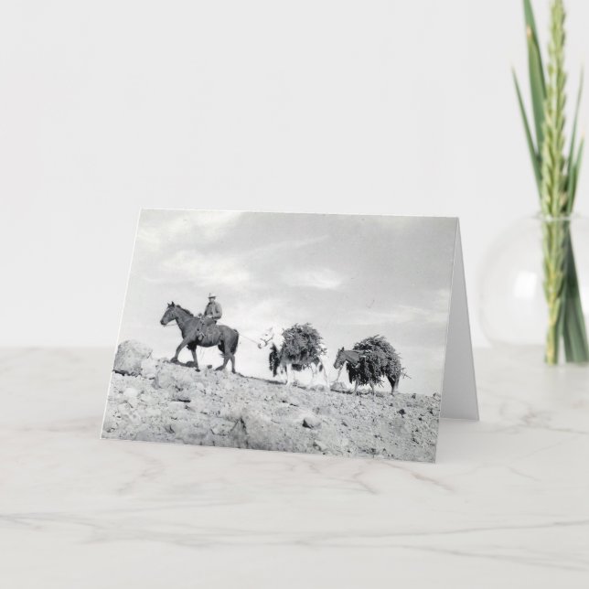 Packing out Christmas Trees Holiday Card (Front)